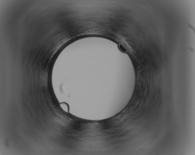 X0000091520108200709071026