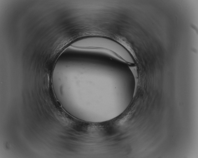 X0000091520109200709071026