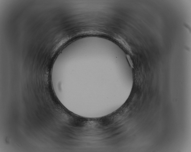 X0000091520111200709071026