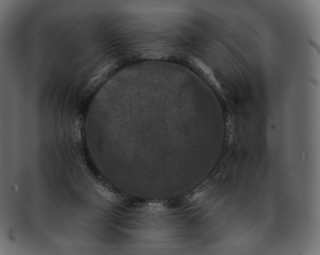 X0000091520114200709071026