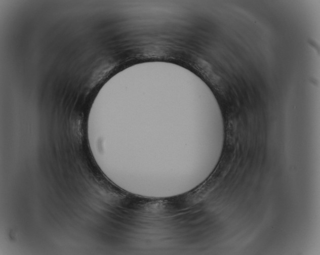 X0000091520116200709071026