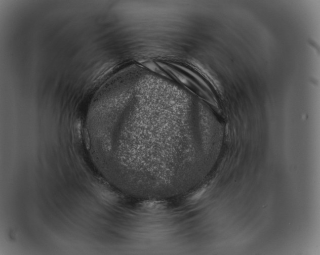 X0000091520117200709071026