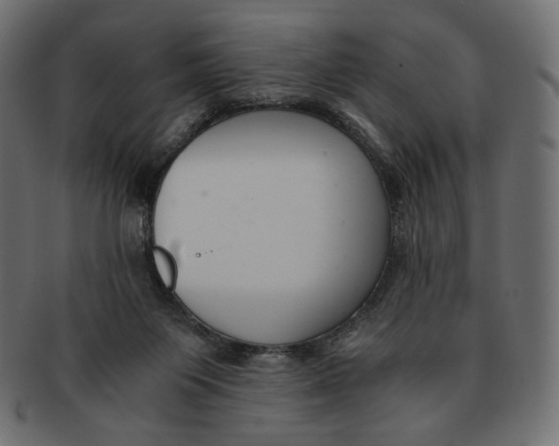 X0000091520119200709071026