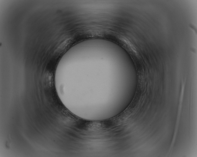 X0000091520123200709071026