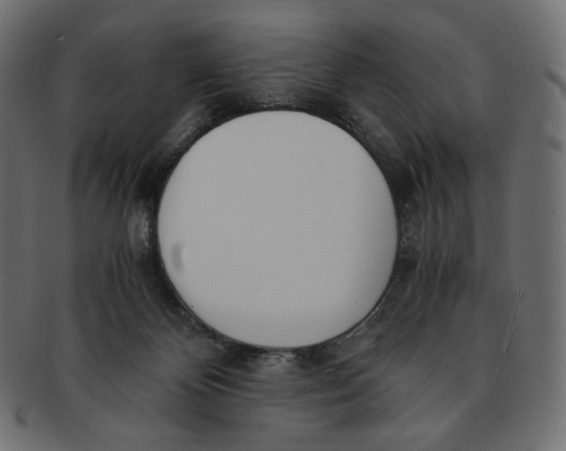 X0000091520124200709071026