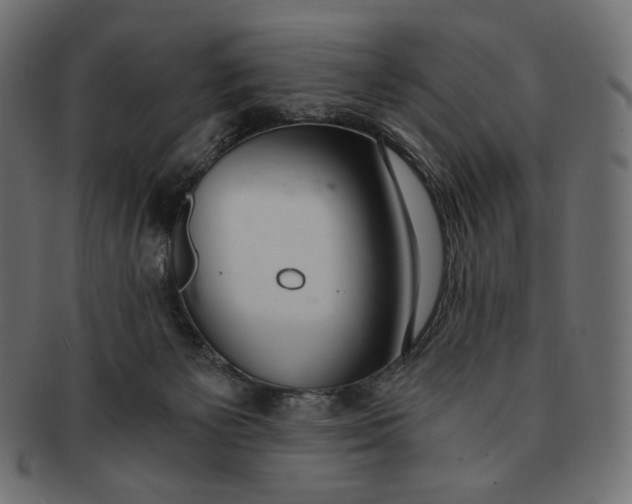 X0000091520125200709071026