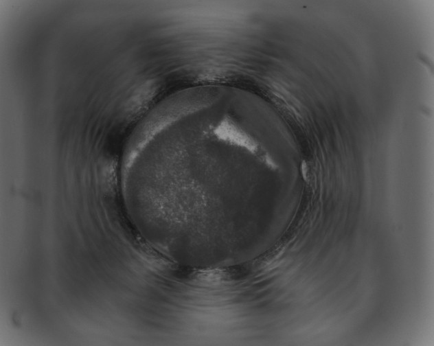 X0000091520127200709071026