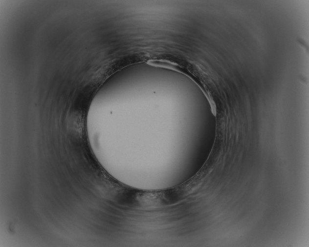 X0000091520129200709071026