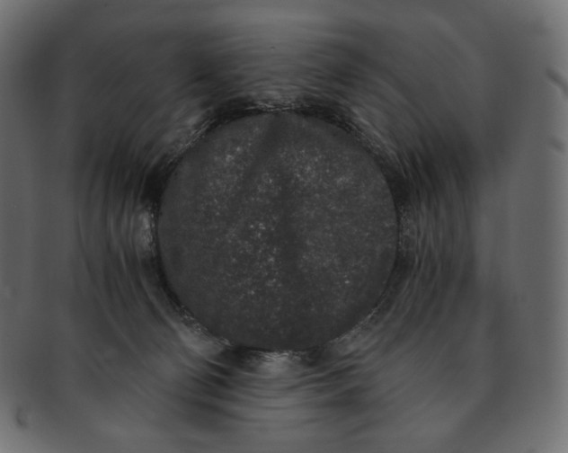 X0000091520130200709071026