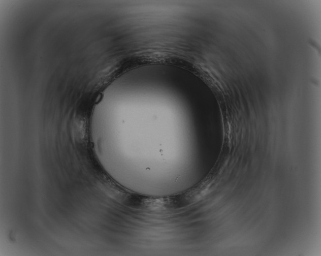 X0000091520131200709071026