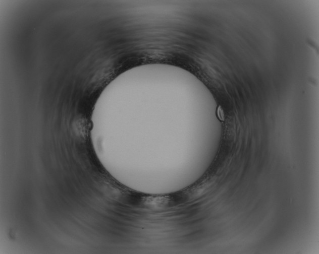 X0000091520135200709071026