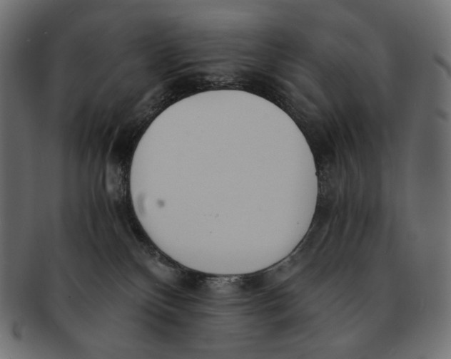 X0000091520136200709071026