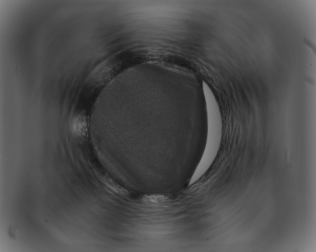 X0000091520137200709071026