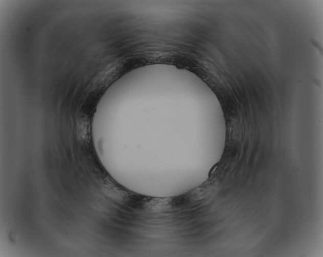 X0000091520138200709071026