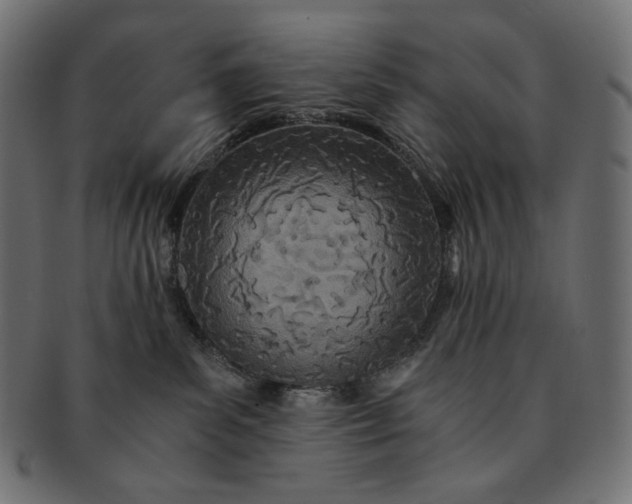 X0000091520139200709071026