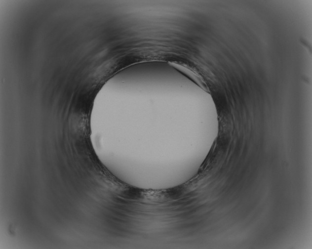 X0000091520141200709071026