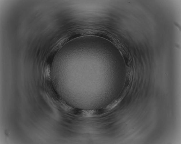 X0000091520143200709071026