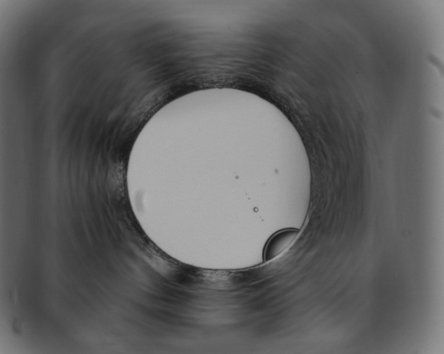 X0000091520144200709071026