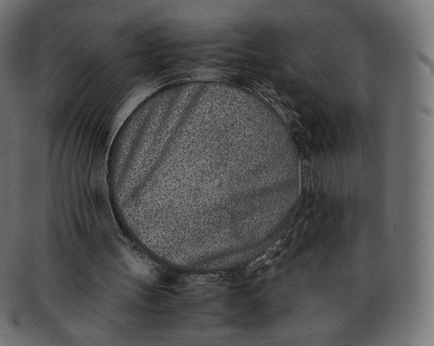 X0000091520147200709071025