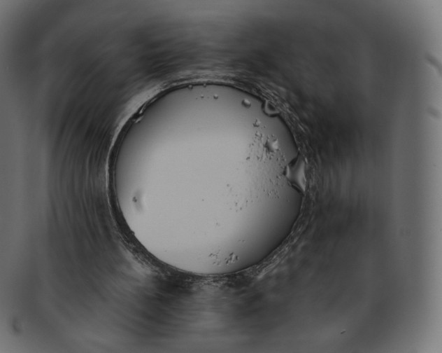 X0000091520148200709071025