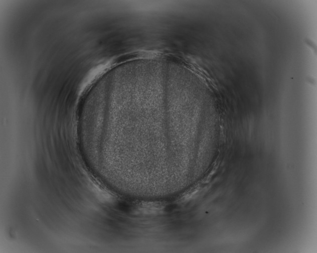 X0000091520149200709071025