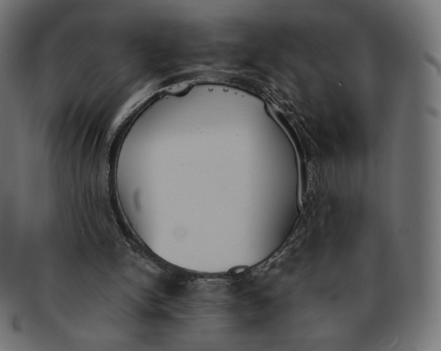 X0000091520150200709071025