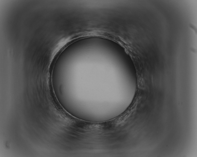 X0000091520152200709071025