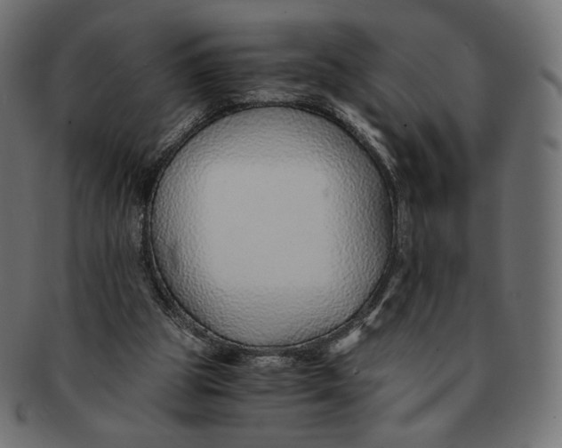 X0000091520153200709071025