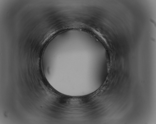 X0000091520154200709071025