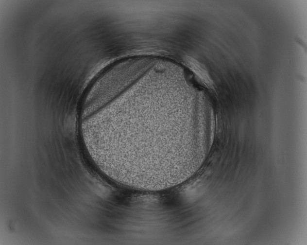 X0000091520156200709071025