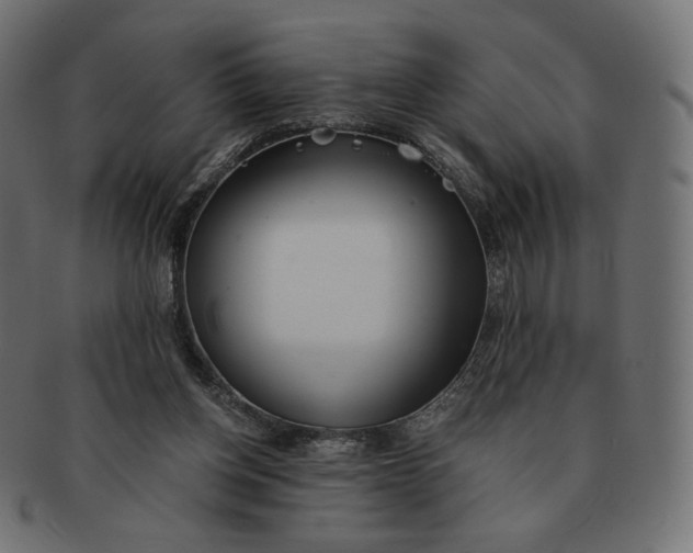 X0000091520158200709071025