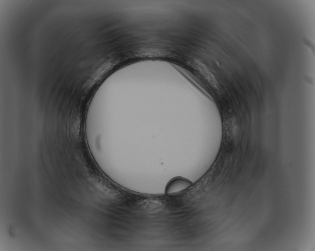 X0000091520159200709071025