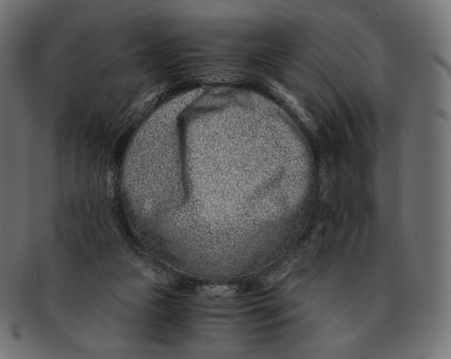 X0000091520161200709071025