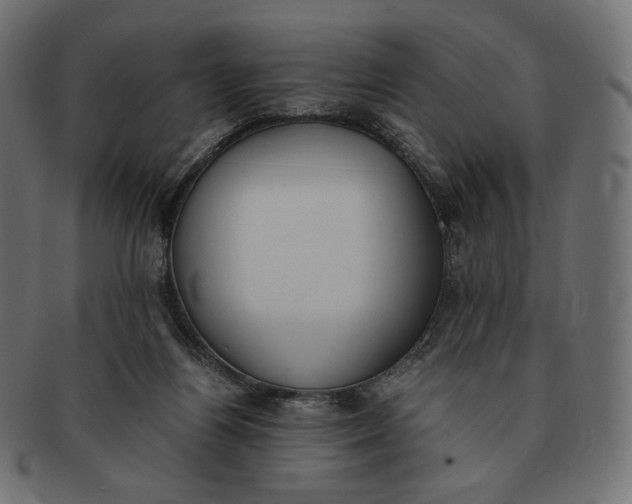 X0000091520164200709071025