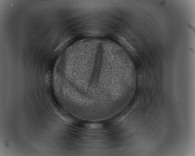 X0000091520165200709071025