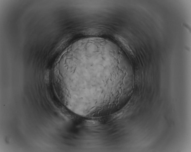 X0000091520167200709071025