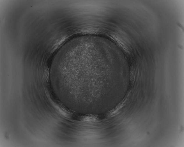 X0000091520168200709071025