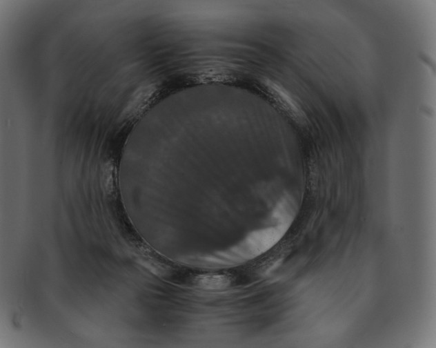 X0000091520169200709071025