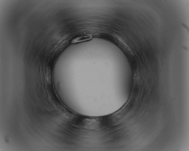 X0000091520170200709071025