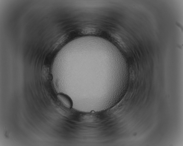 X0000091520171200709071025