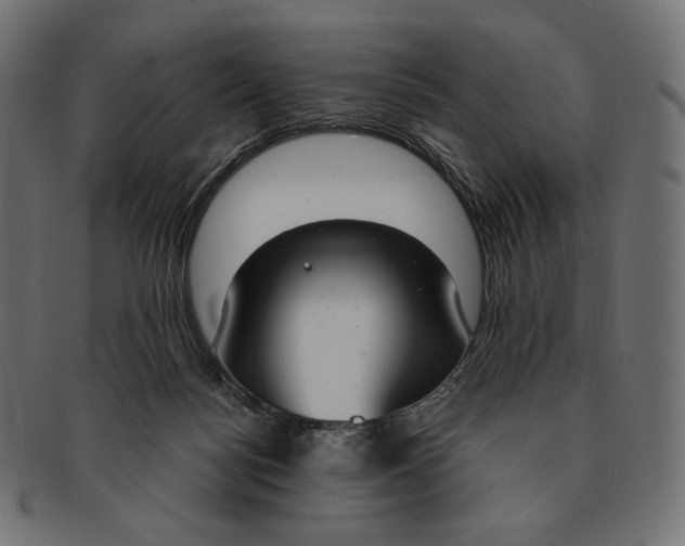 X0000091520172200709071025