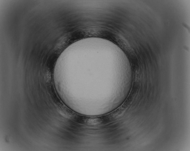 X0000091520173200709071025