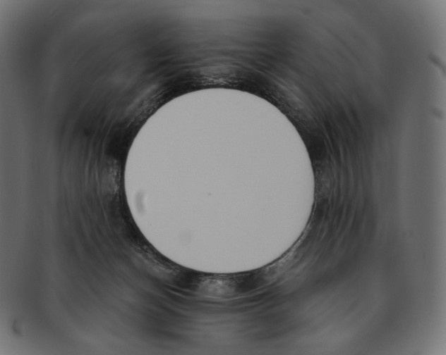 X0000091520174200709071025