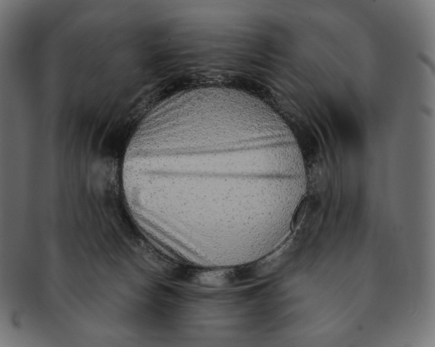 X0000091520178200709071025