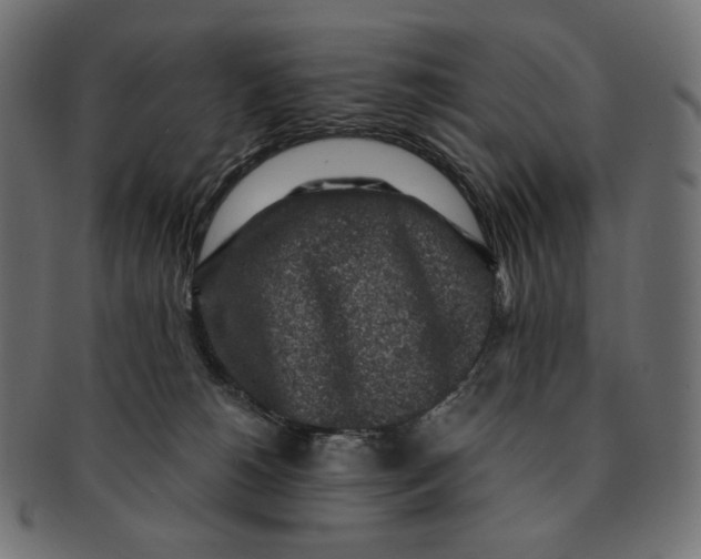 X0000091520180200709071026