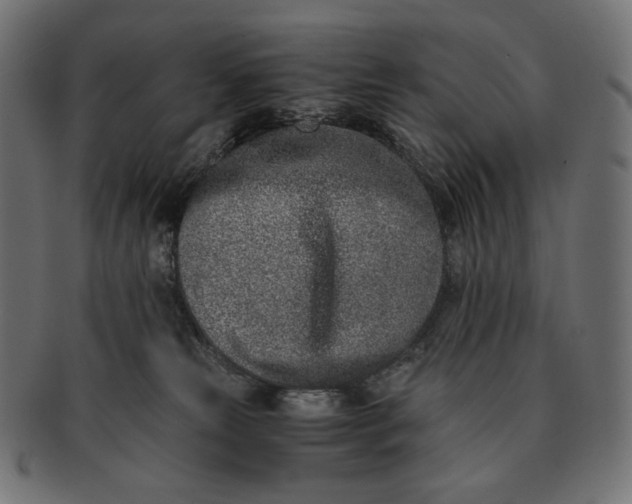 X0000091520181200709071026