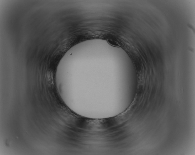 X0000091520182200709071026