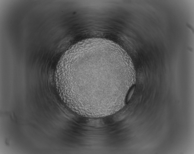 X0000091520185200709071026