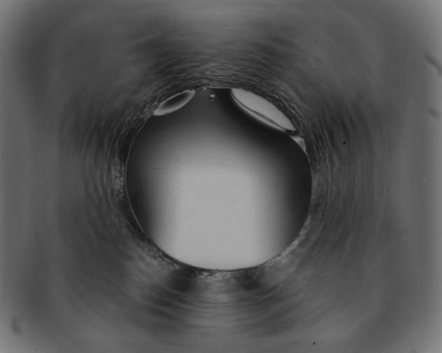 X0000091520186200709071026