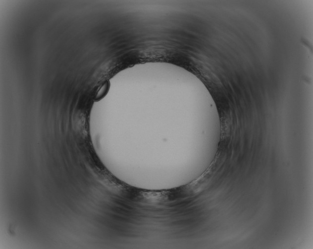 X0000091520187200709071026